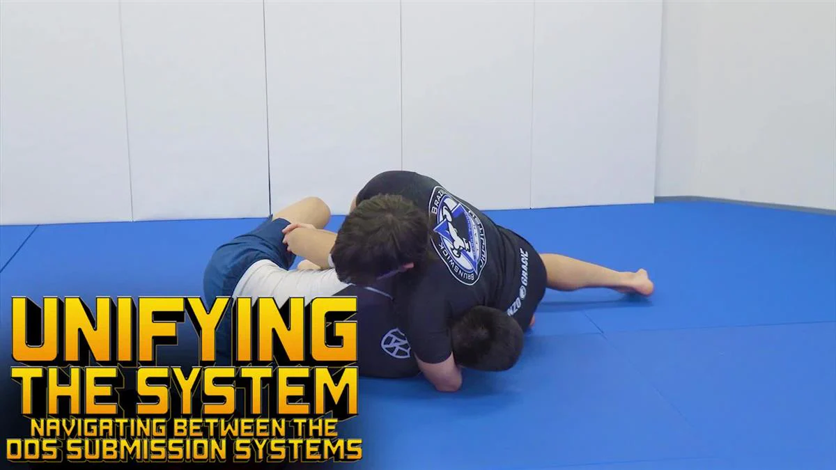 Unifying The Systems: Navigating Between The DDS Submissions Systems by Garry Tonon - Image 3