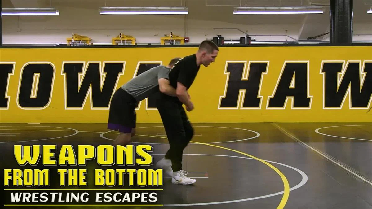 Weapons From The Bottom by Matt McDonough - Image 3