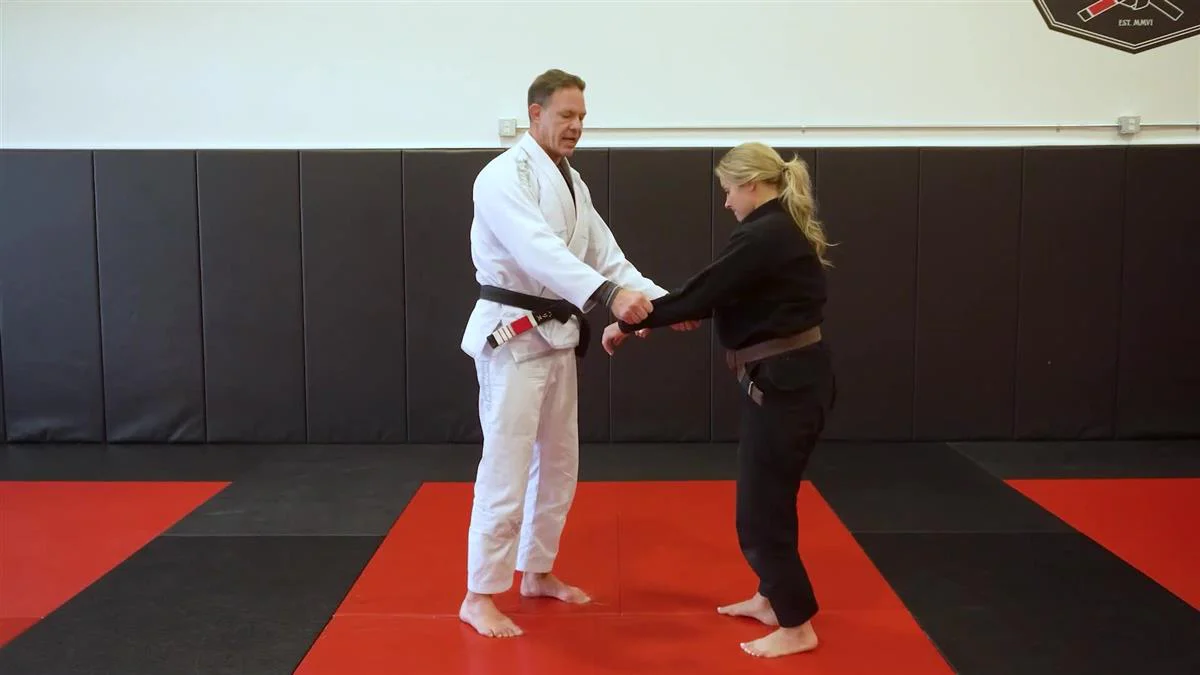 White To Grey Belt Fundamentals by Luke Harris - Image 5