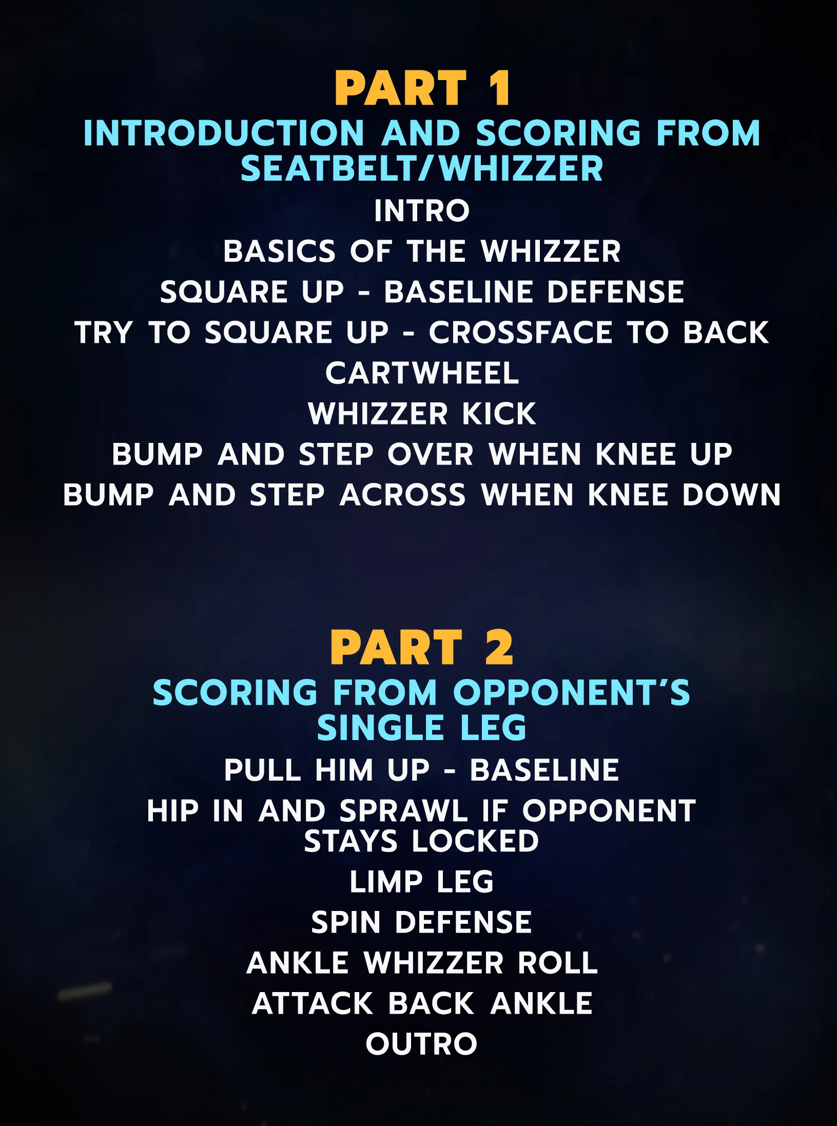Whizzer Domination: Turn Defensive Position Into Offensive Points by Dan Vallimont - Image 2
