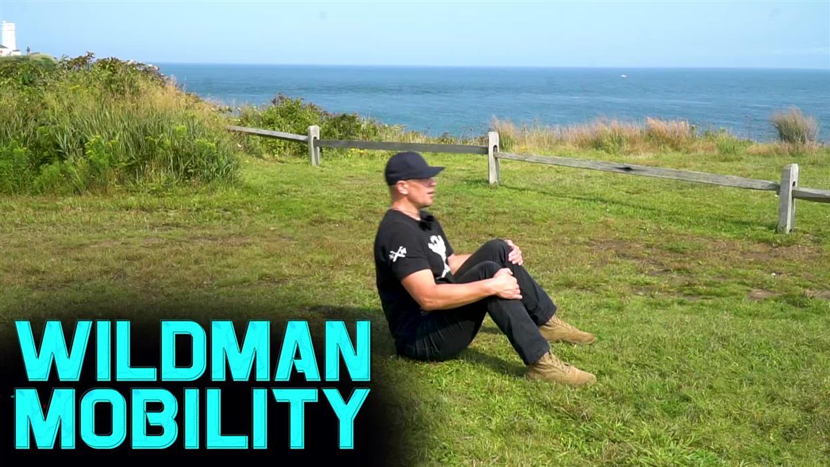 Wildman Mobility by Mark Wildman - Image 3