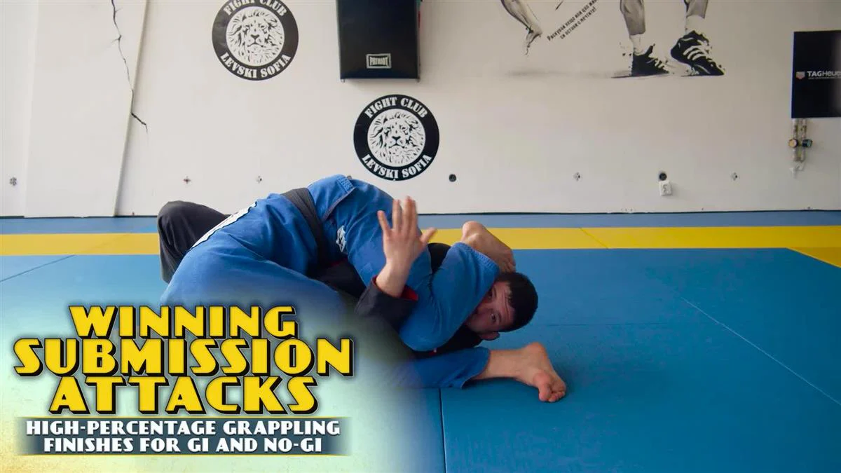 Winning Submission Attacks by Dinu Bucalet - Image 3