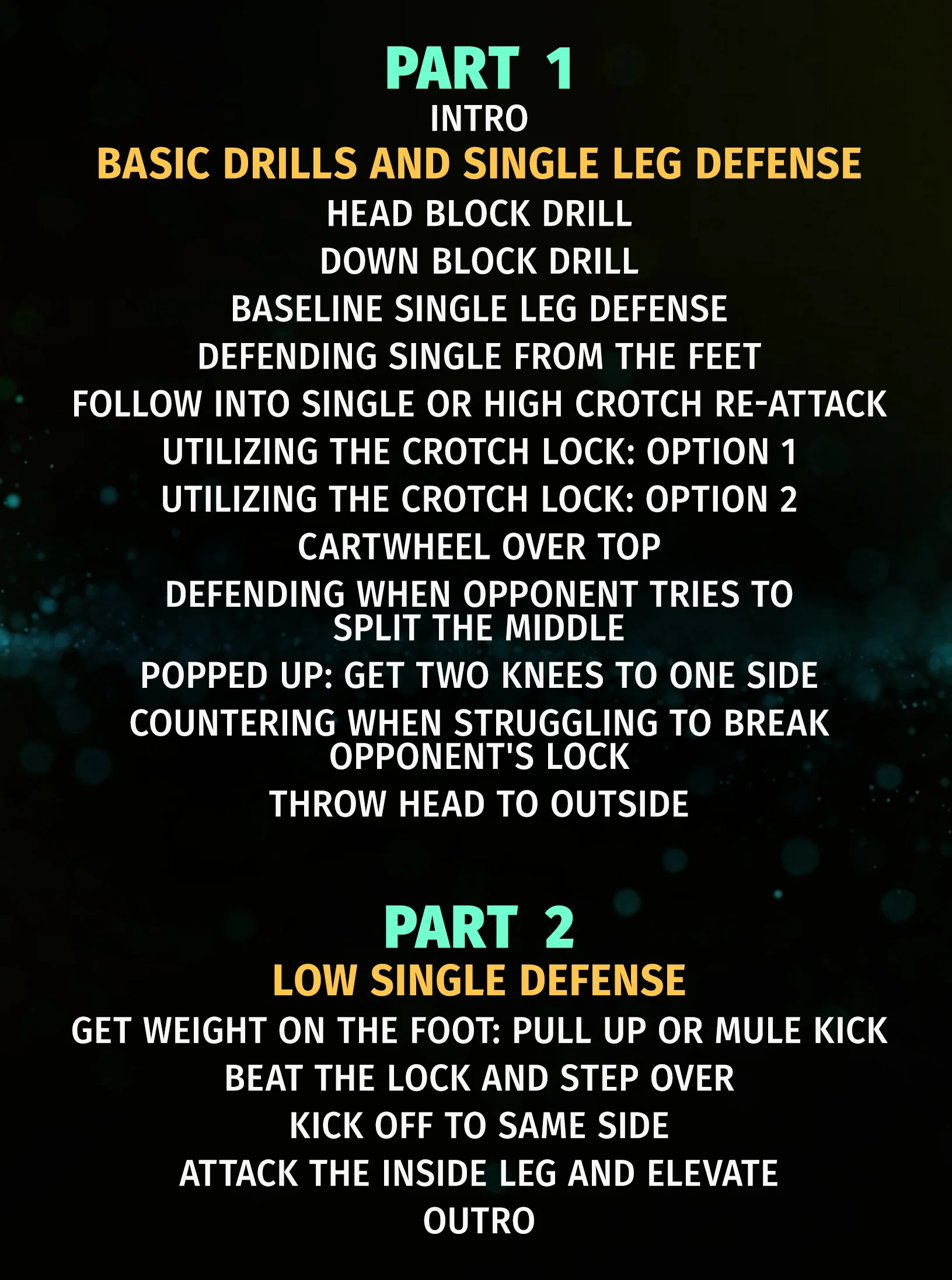Winning Tactics For Defending & Countering The Single Leg by Andrew Howe - Image 2