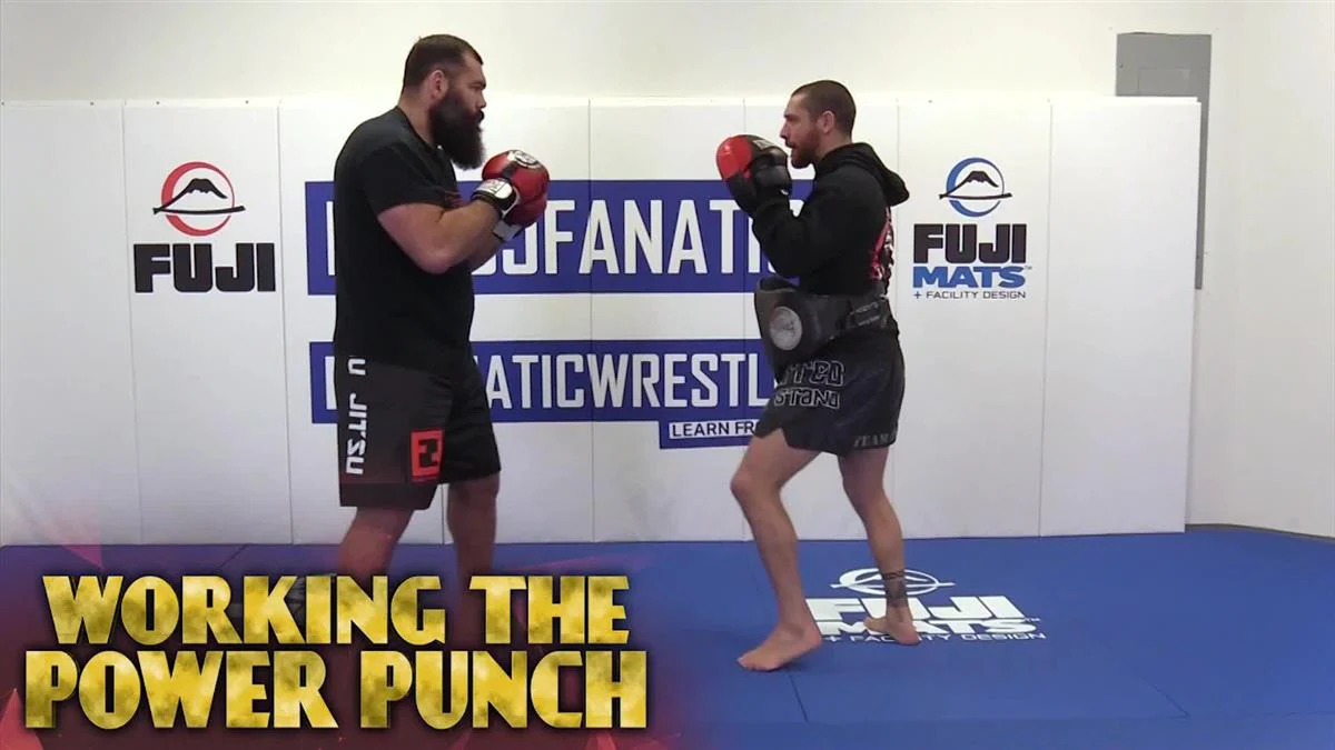 Working The Power Punch by Gabriel Gonzaga - Image 3