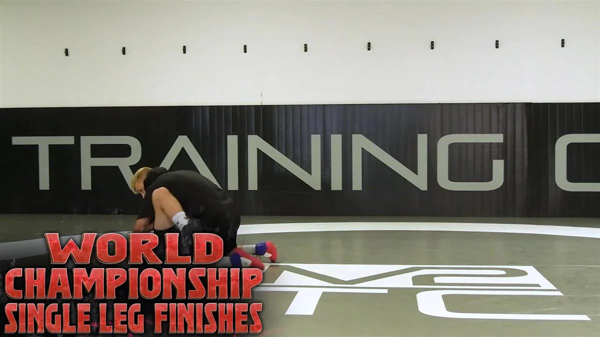 World Championship Single Leg Finishes by Kyle Dake - Image 3