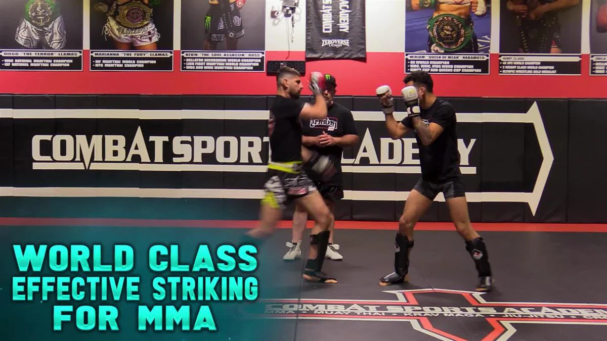 World Class Effective Striking For MMA by Kirian Fitzgibbons - Image 3