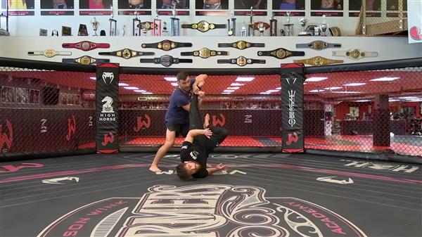 Wrestling Meets MMA Mastering the Single Leg Takedown by Greg Jackson and Dan Vallimont - Image 3