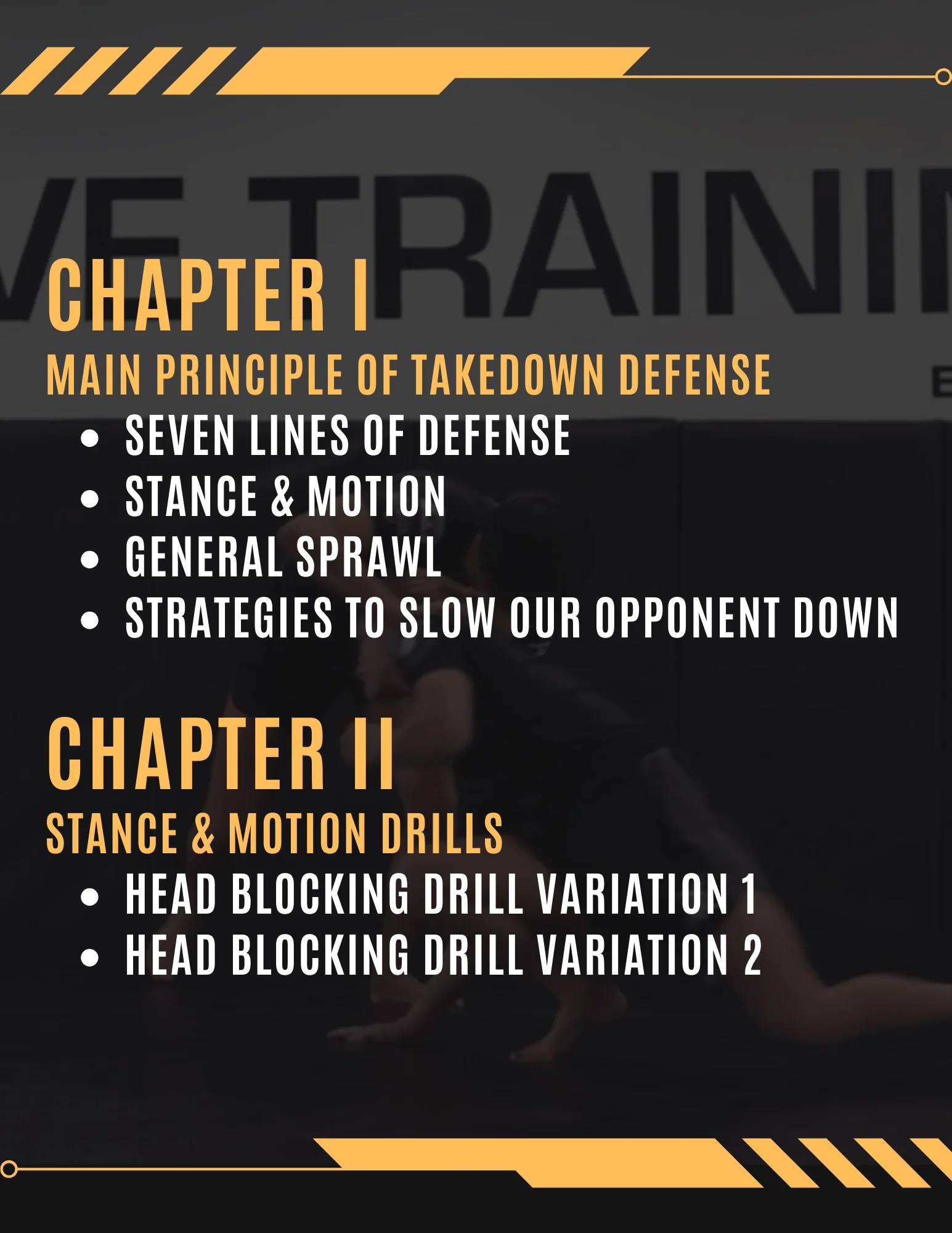 Wrestling Takedown Defense For Grappling by Alex Enriquez - Image 2